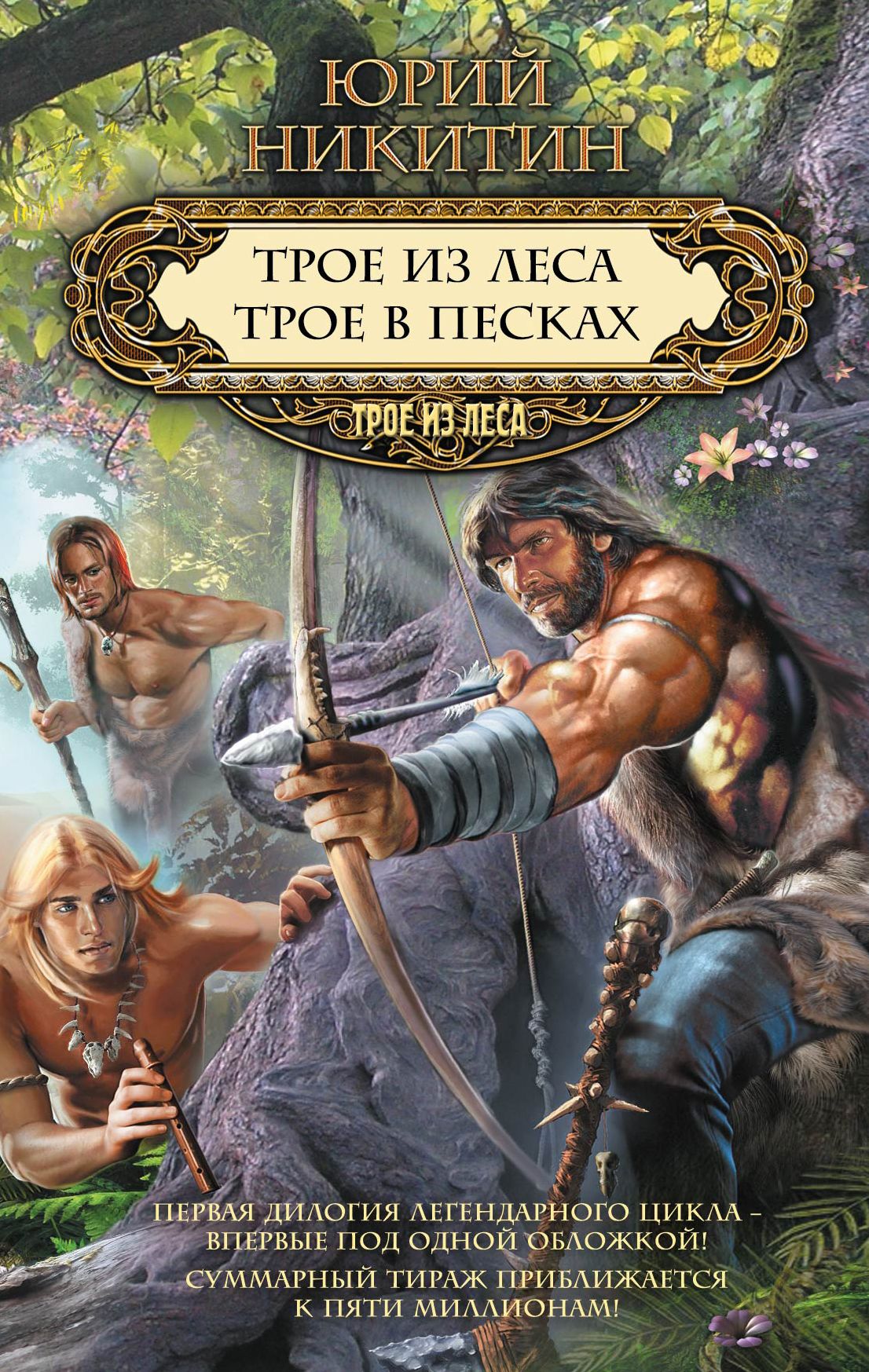 Обложка книги "Трое из леса"